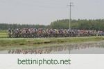 Giro d?Italia