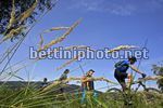 Mountainbike Bike race Plzen 2007