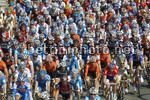il gruppo multicolore