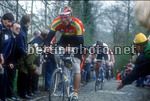 Giro delle Fiandre 1990 - Taiienberg - Maurizio Fondriest (Panasonic) - BettiniPhoto©2011