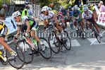DILETTANTI 2011