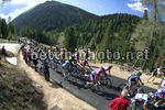 Giro d'Italia 2012 - 19a tappa - Treviso - Alpe di Pampeago - Vedelago - 198 km - 25-05-2012 - Veduta Passo Pampeago - BettiniPhoto©2012